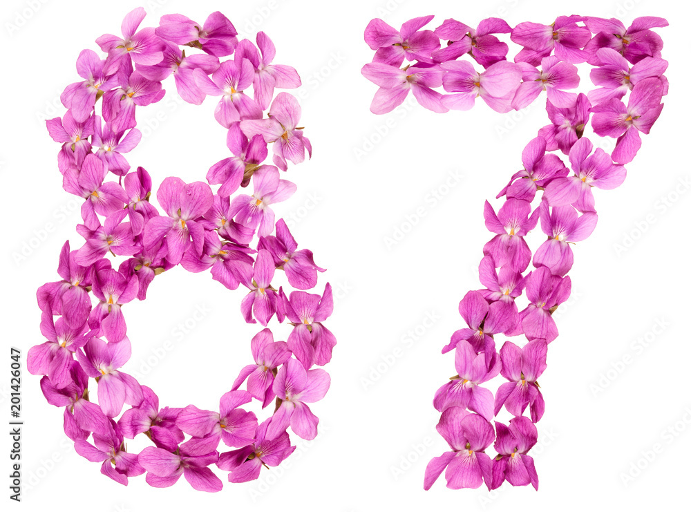 Arabic numeral 87, eighty seven, from flowers of viola, isolated on white background
