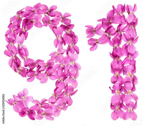 Arabic numeral 91, ninety one, from flowers of viola, isolated on white background