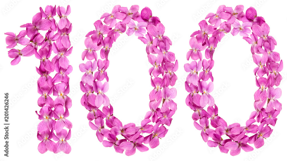 Arabic numeral 100, one hundred, from flowers of viola, isolated on white background Arabic numeral 100, one hundred, from flowers of viola, isolated on white background