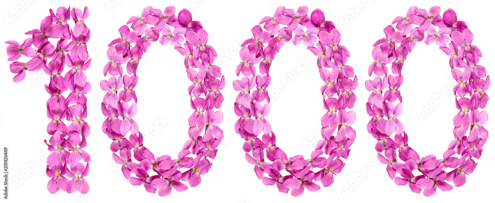 Arabic numeral 1000, one thousand, from flowers of viola, isolated on white background Arabic numeral 1000, one thousand, from flowers of viola, isolated on white background