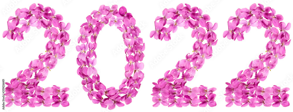 Numeral 2022 from flowers of viola, isolated on white background Numeral 2022 from flowers of viola, isolated on white background