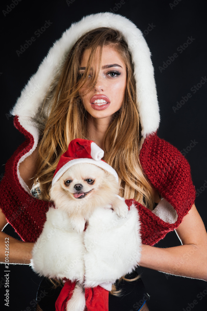 Obraz premium Charming Santa Claus girl are waiting for New Year. Sexy woman in Santa Claus costume holding cute small dog in hands. Girl and dog in Santa's clothes.