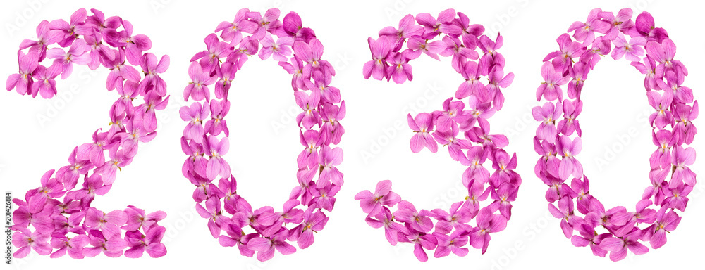 Numeral 2030 from flowers of viola, isolated on white background