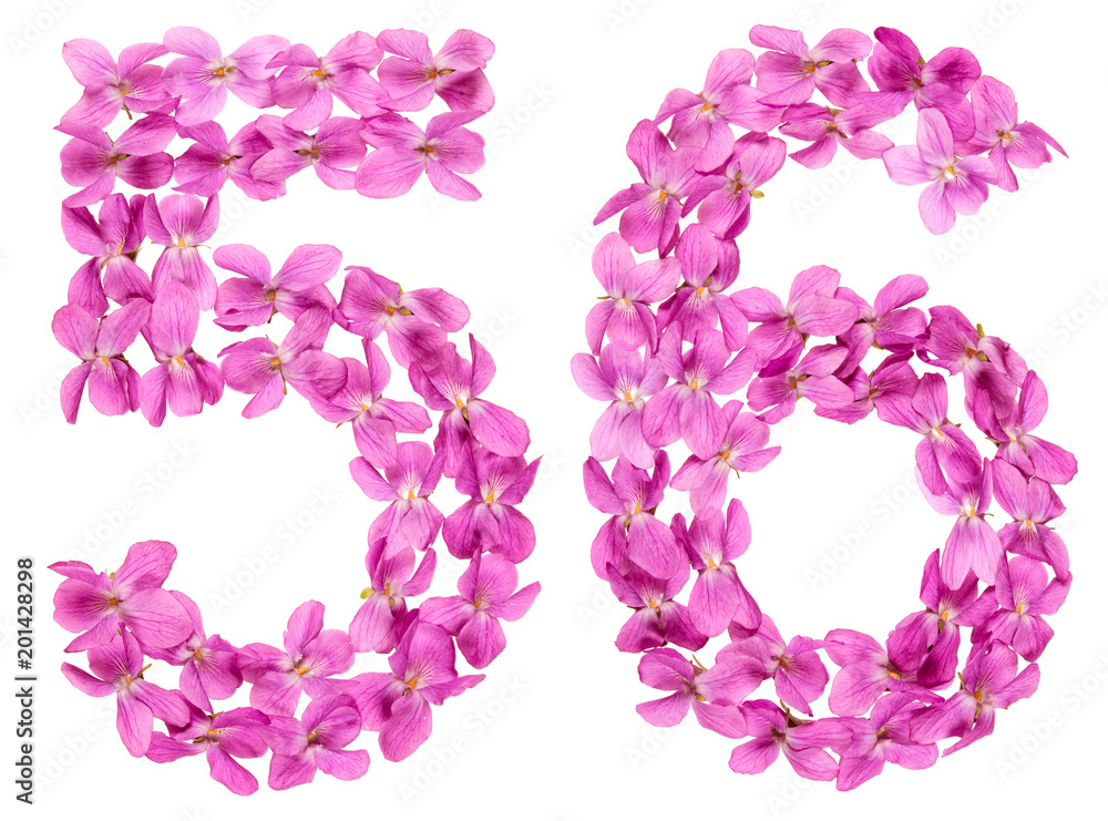 Arabic numeral 56, fifty six, from flowers of viola, isolated on white background