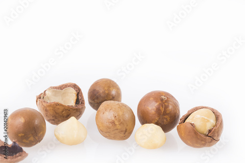 Macadamia nuts - Macadamia integrifolia photo