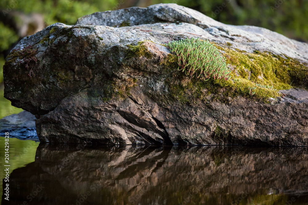 Rock on water reflection