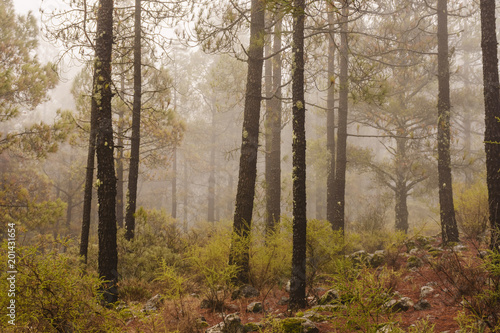 Winter mood in Gran Canaria, Spain