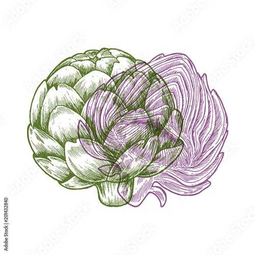 Anaglyph artichoke illustration. Sketch vegetable. Vector illustration