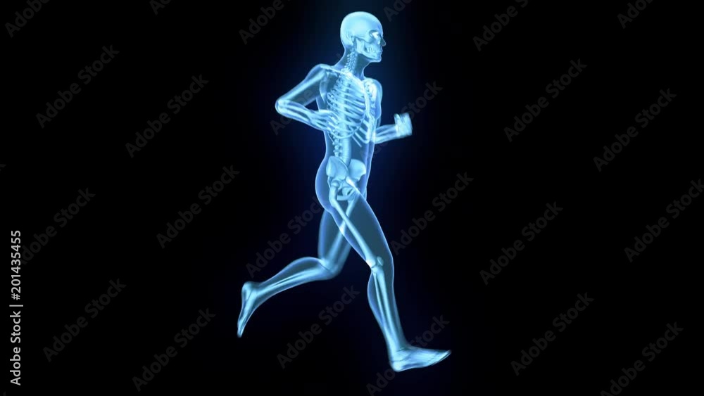 X-Ray of human 3D model running with matte key included X-Ray of human 3D model running with matte key included