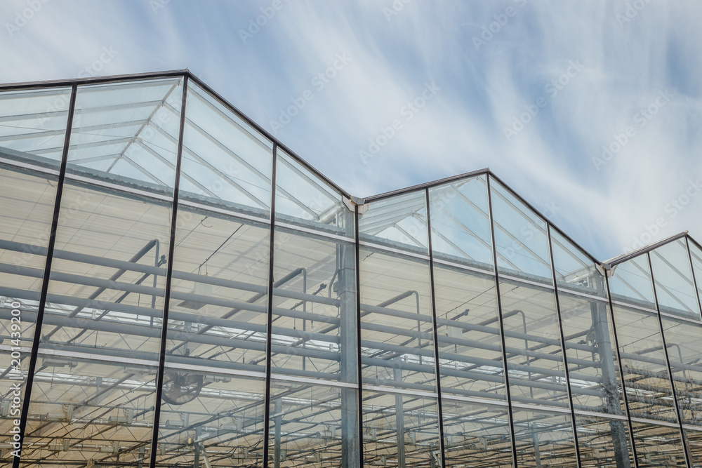 Modern greenhouse for growing vegetables and flowers on sky background