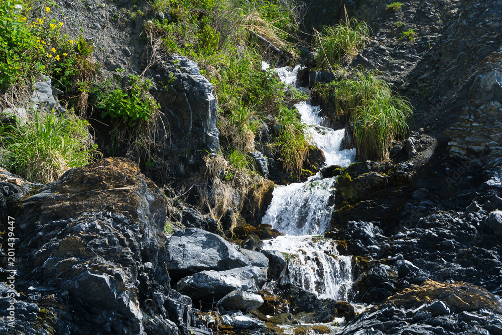 A spring waterfall flows onto the black sand of the Lost Coast backpacking trail in California
