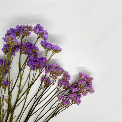 Dry Flower