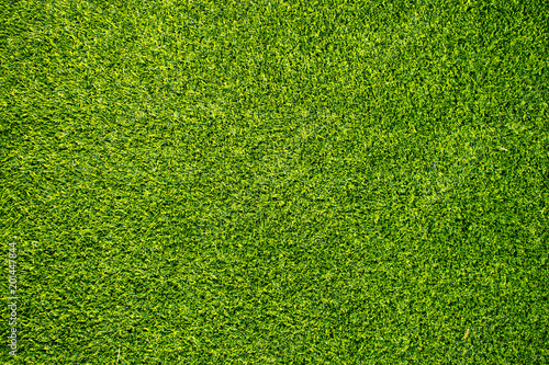 Fresh and green grass for background.