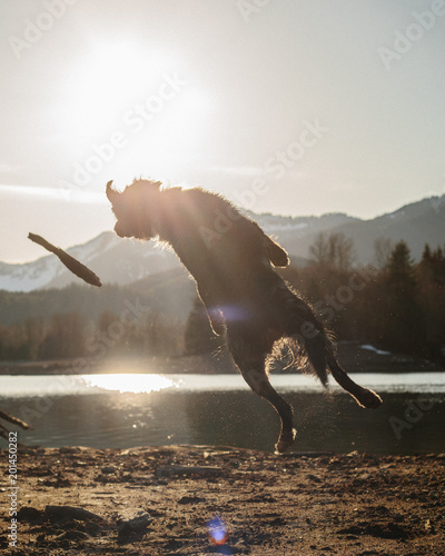 kodi stick jump photo