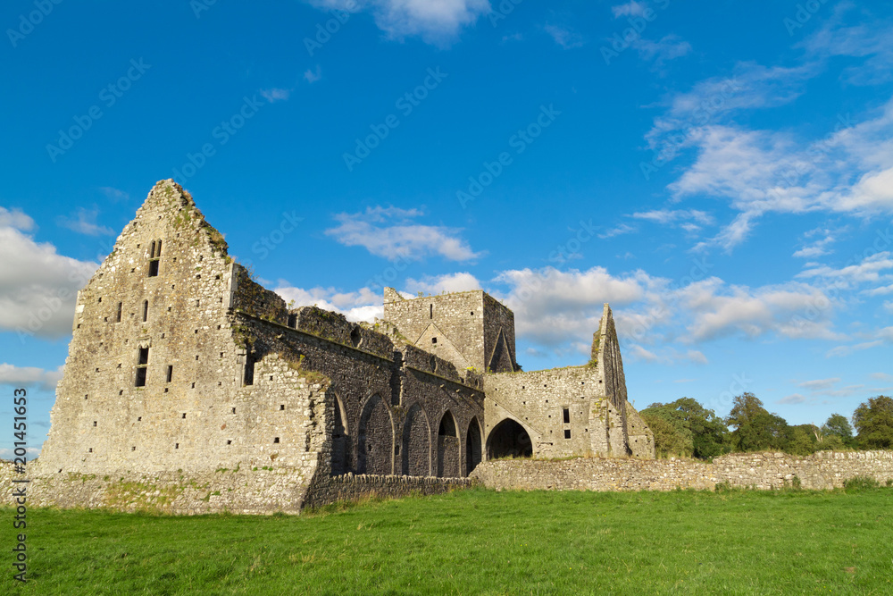 Irish Ruins Cashel