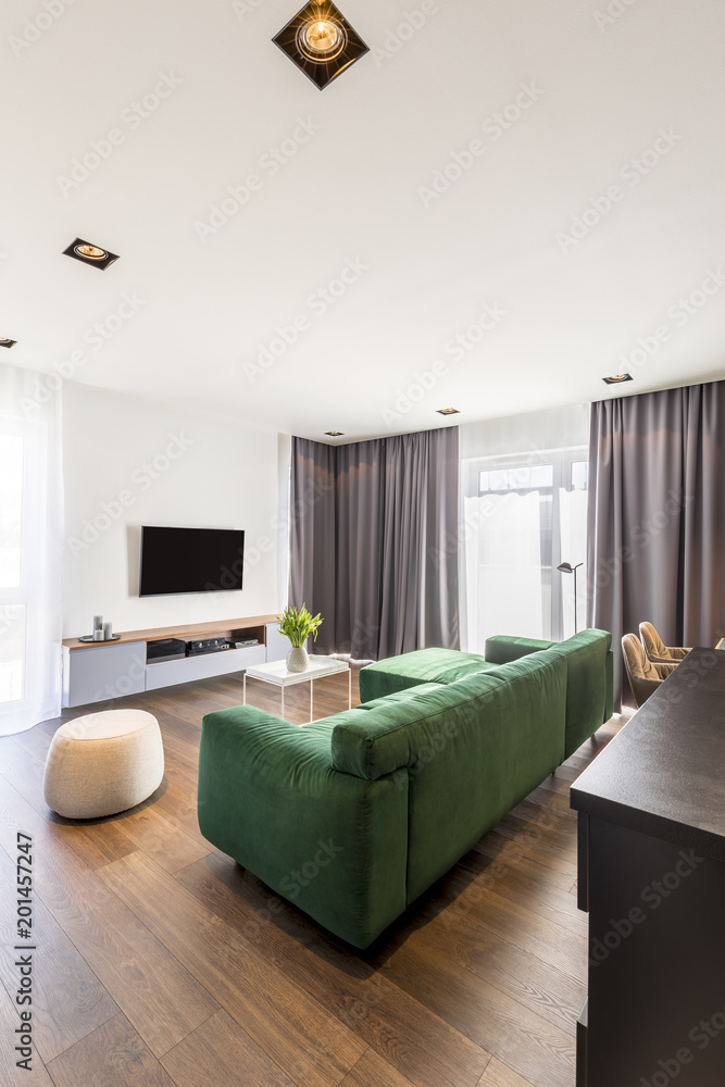 Living room with green sofa Living room with green sofa