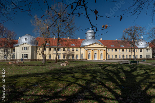 Palace Maltzanow in Milicz, Poland photo