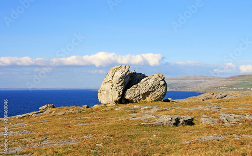 Atlantic stone on Burren coastline - Ireland