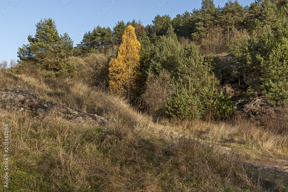Landscape of autumnal nature with  mix forest  and dry glade in Balkan mountain, near village Lokorsko, Bulgaria  