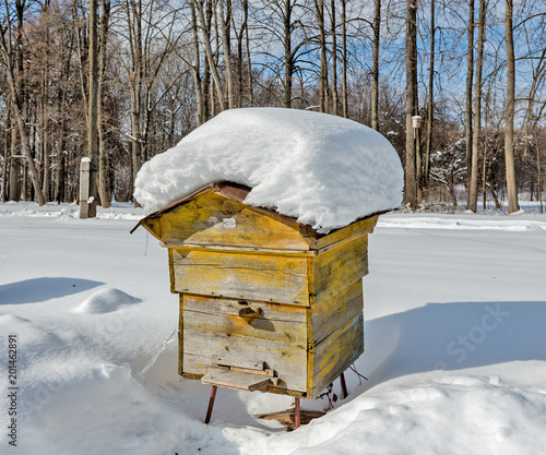 Wallpaper Mural Beehive in the apiary in winter. Heavy frost, a lot of snow. Russia, Tula region. Torontodigital.ca