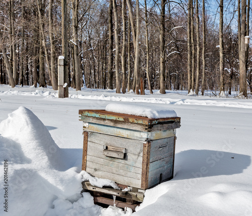 Wallpaper Mural Beehive in the apiary in winter. Heavy frost, a lot of snow. Russia, Tula region. Torontodigital.ca