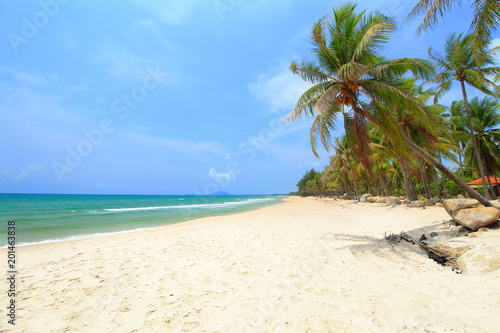 Tropical beach in sunny day