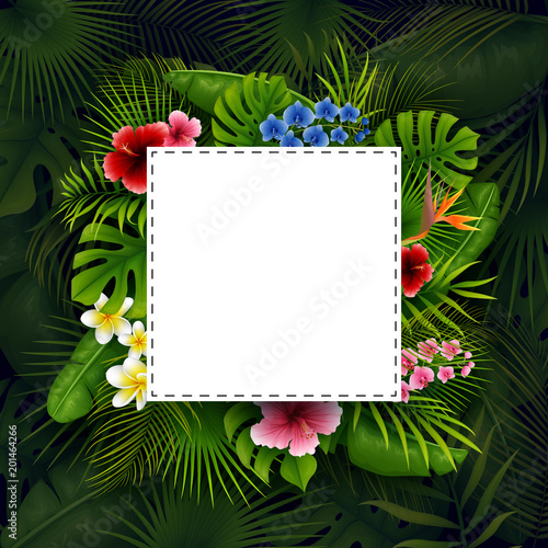 Green summer with tropical leaves and flowers. Vector foliage with white frame and place for text on dark background