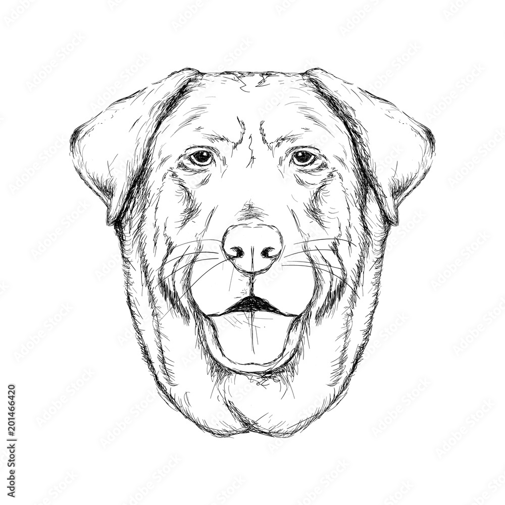 Outline hand-drawing animal head vector logo icon illustration
Outline hand-drawing animal head vector logo icon illustration