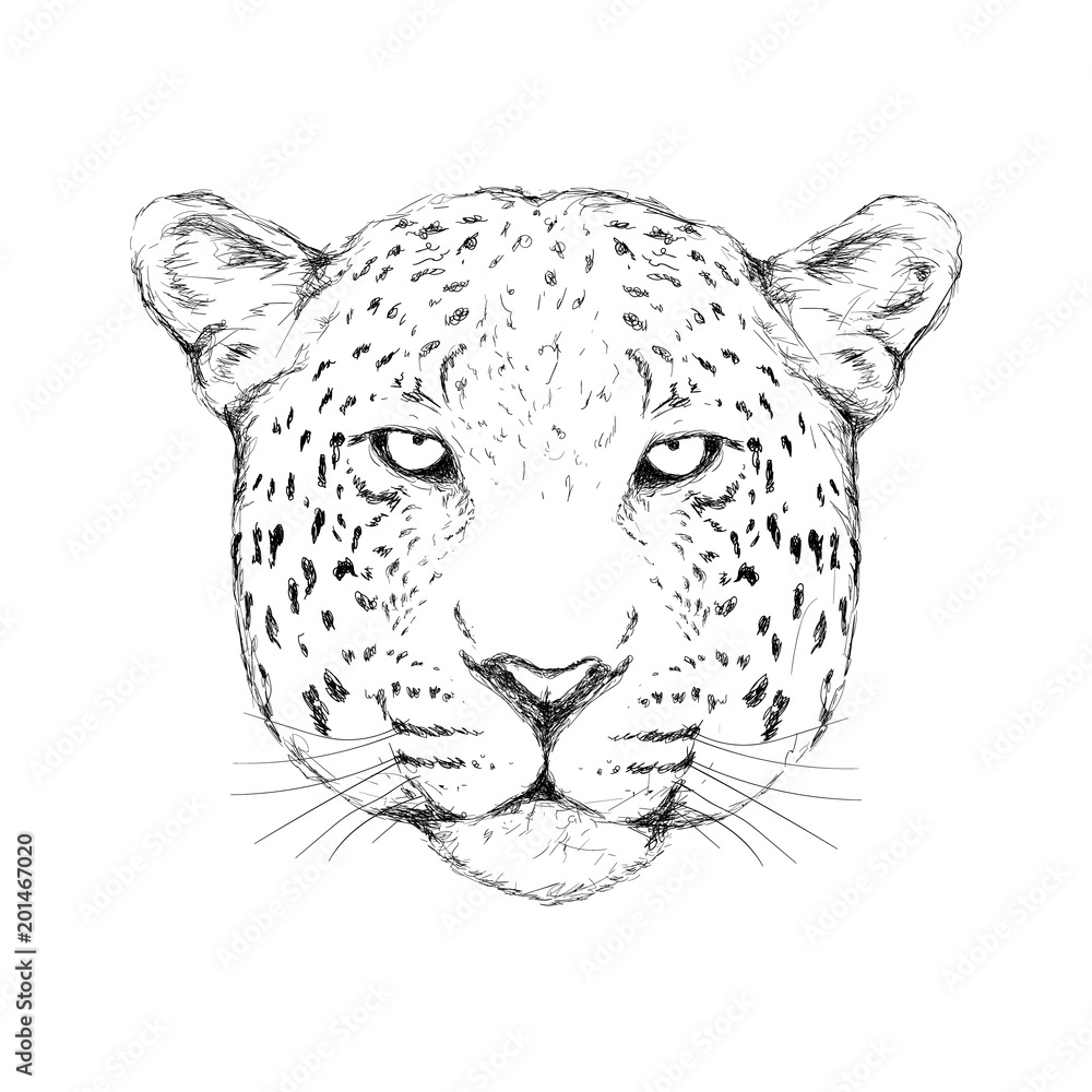 Outline hand-drawing animal head vector logo icon illustration Stock