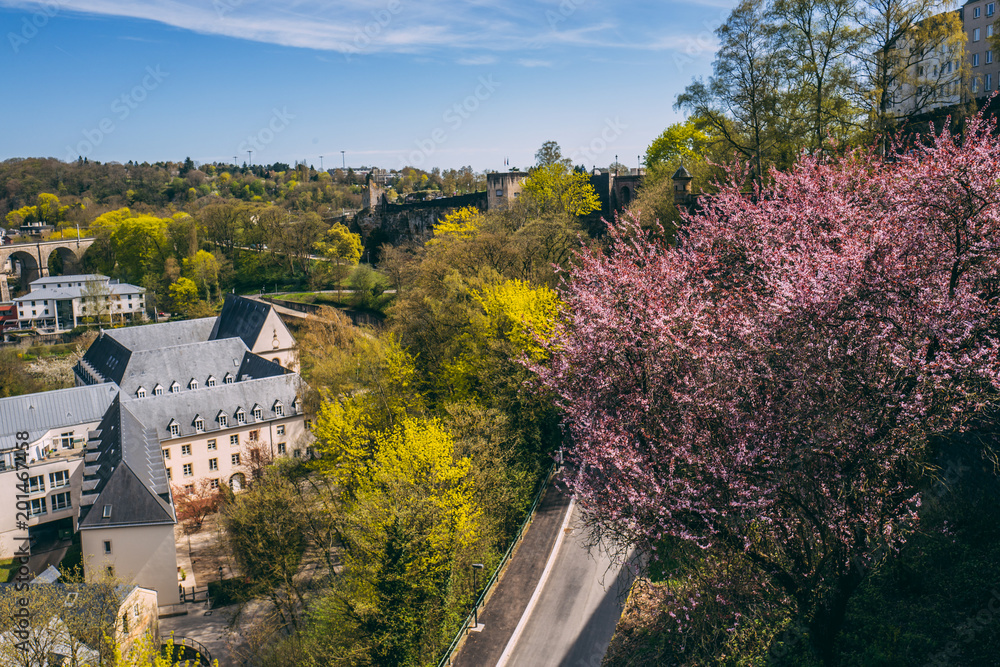 Spring season in Luxembourg