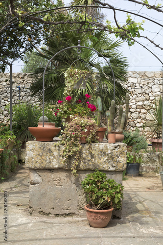 Pozzo in pietra con piante nel giardino