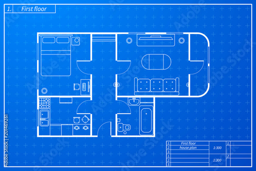 Architecture blueprint style house plan