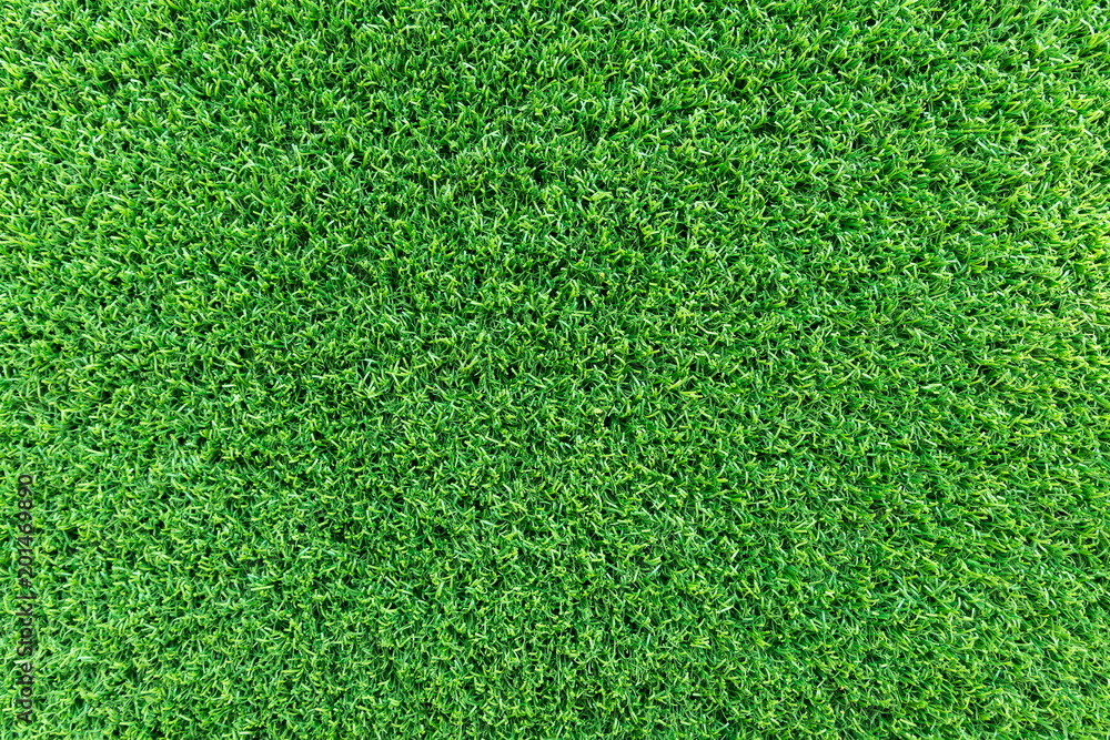 Fototapeta premium Grass field texture for golf course, soccer field or sports background concept design. Artificial grass.