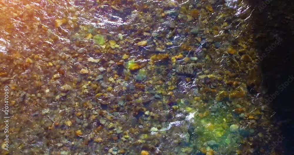 Aerial UHD 4K view. Mid-air flight over fresh and clean mountain river with transparent water and stone river bed at sunny summer morning. Top view and horizontal movement Aerial UHD 4K view. Mid-air flight over fresh and clean mountain river with transparent water and stone river bed at sunny summer morning. Top view and horizontal movement