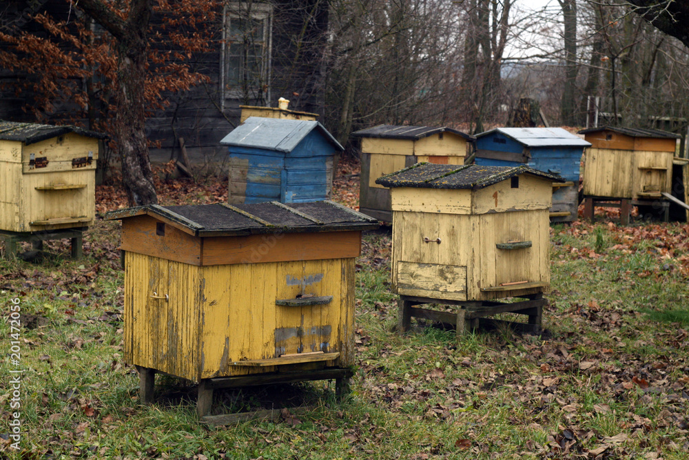 Old bee hives in autumn. Old bee hives in autumn.