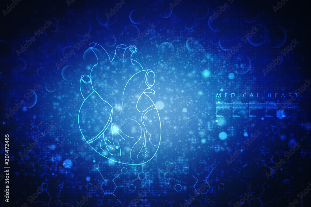 2d illustration Anatomy of Human Heart 2d illustration Anatomy of Human Heart