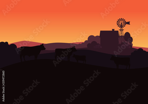 Rural landscape with milk farm and herd cows.
