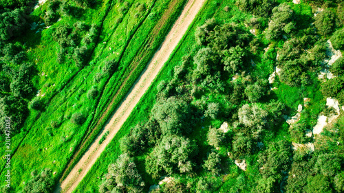 Aerial view of a green landscape in sunny day. Nature background.