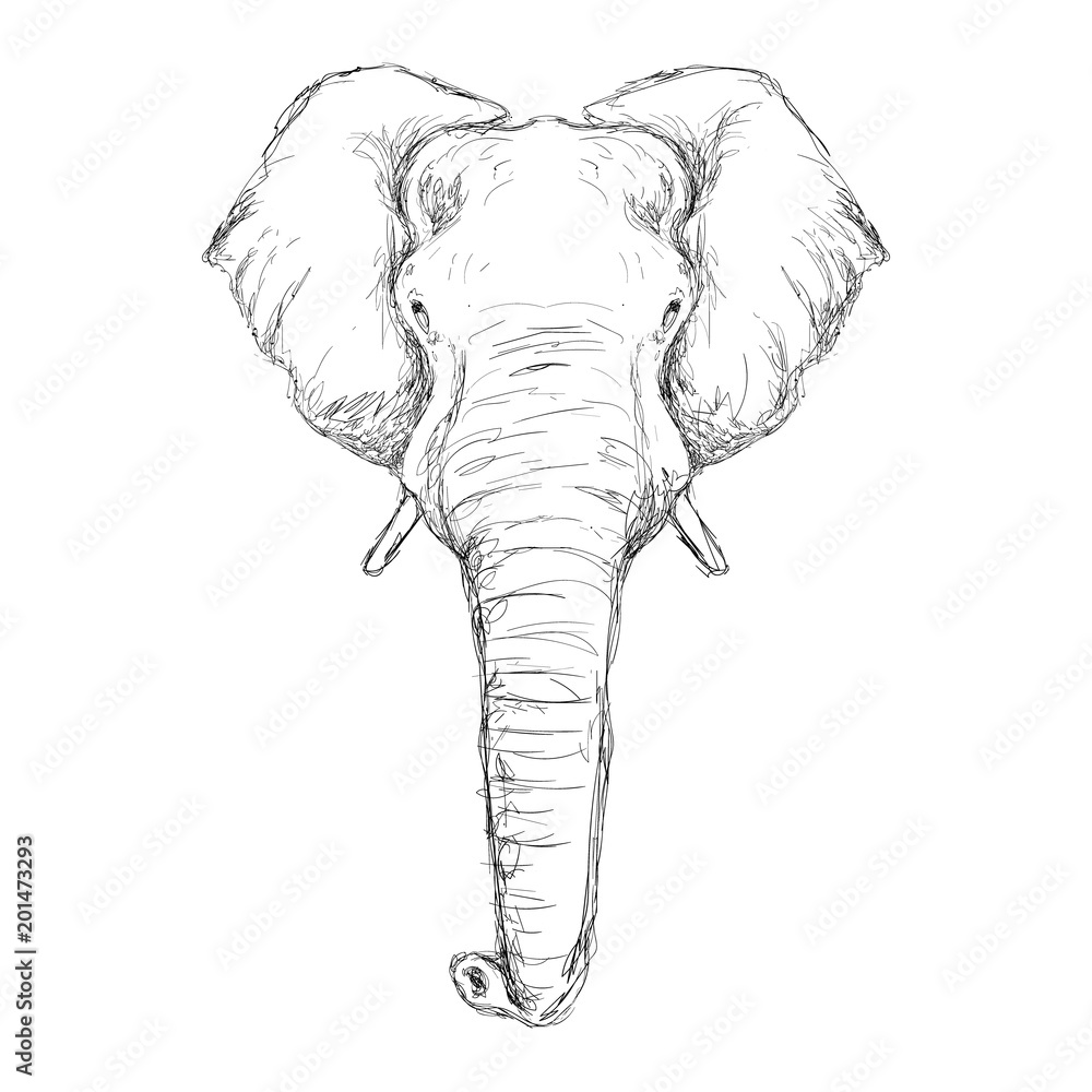 Outline hand-drawing animal head vector logo icon illustration
Outline hand-drawing animal head vector logo icon illustration