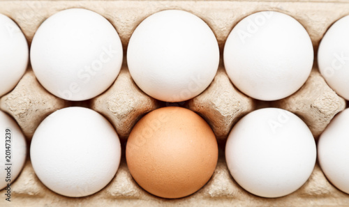 Brown egg among white eggs in paper tray