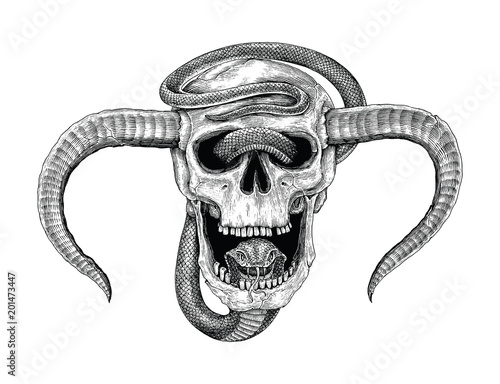 Snake with human skull hand drawing vintage engraving illustration for tattoo