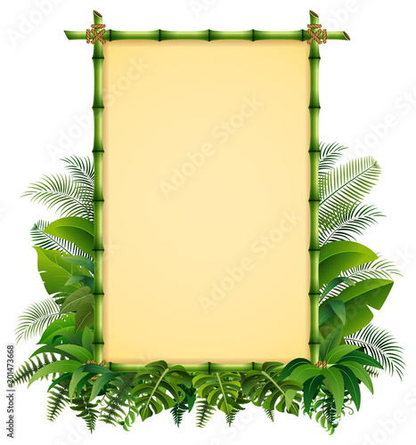 Green bamboo frame on the leaves