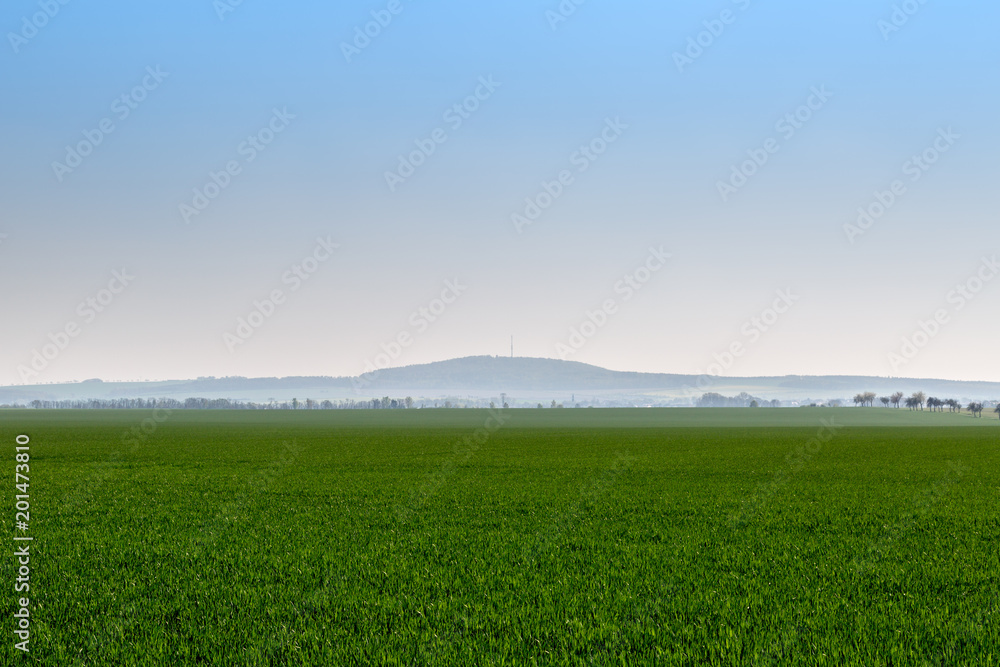 eine schöne grüne Wiese, im Hintergrund ein kleiner Berg