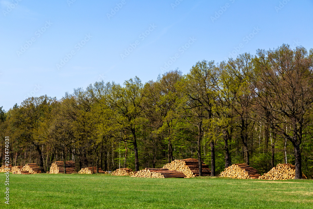 gestapelte Baumstämme am Waldrand gestapelte Baumstämme am Waldrand
