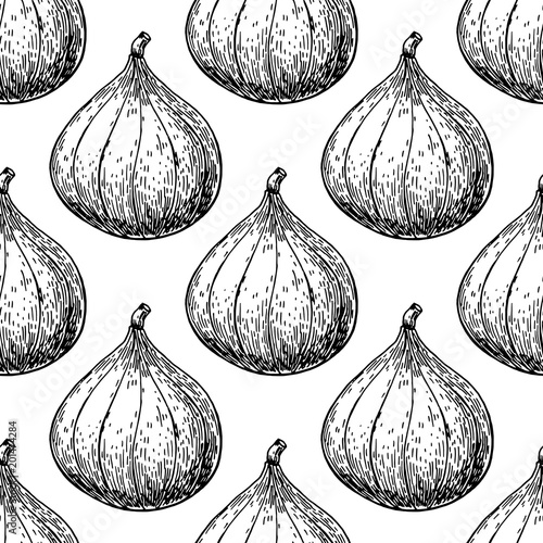 Fig vector seamless pattern drawing. Hand drawn isolated fruit. 