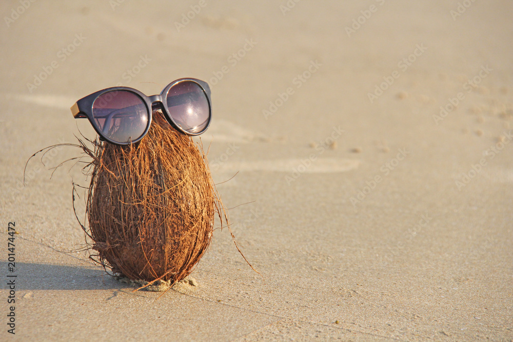 Coconut sunglasses store