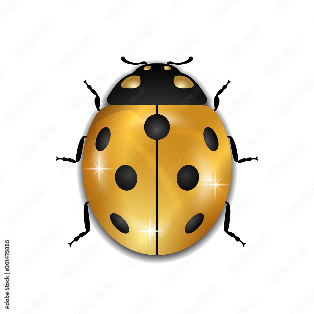 Naklejka premium Ladybug gold insect small icon. Golden lady bug animal sign, isolated on white background. 3d volume design. Cute jewelry ladybird design. Cartoon lady bird closeup beetle. Vector illustration