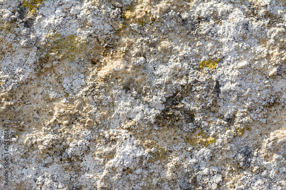City Stone Texture C Shallow Depth of Field Spring April 2018 Graphic Resources City Stone Texture C Shallow Depth of Field Spring April 2018 Graphic Resources