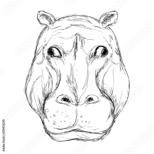 Outline hand-drawing animal head vector logo icon illustration
