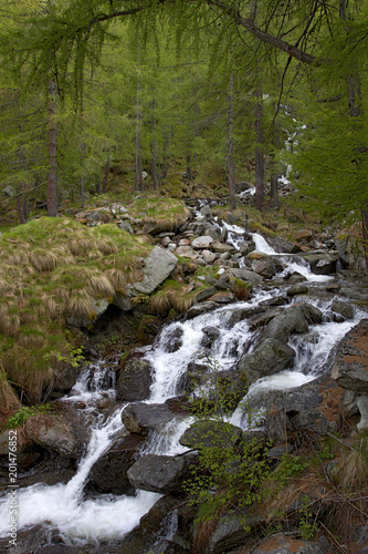 Small waterfall of a creek downhill to the Gran Paradiso National Park